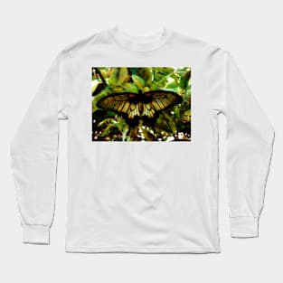 The Butterfly's' Abstraction Long Sleeve T-Shirt